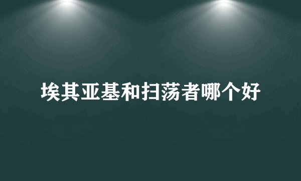 埃其亚基和扫荡者哪个好