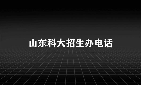 山东科大招生办电话