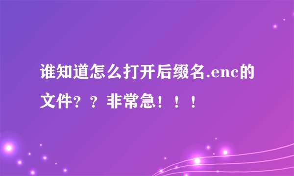 谁知道怎么打开后缀名.enc的文件？？非常急！！！