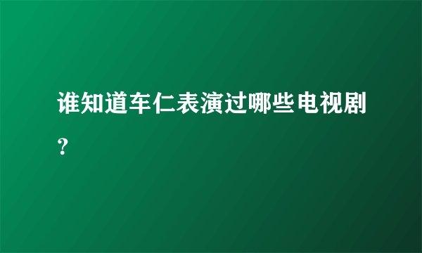 谁知道车仁表演过哪些电视剧？