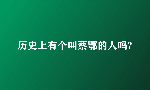 历史上有个叫蔡鄂的人吗?