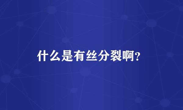 什么是有丝分裂啊？