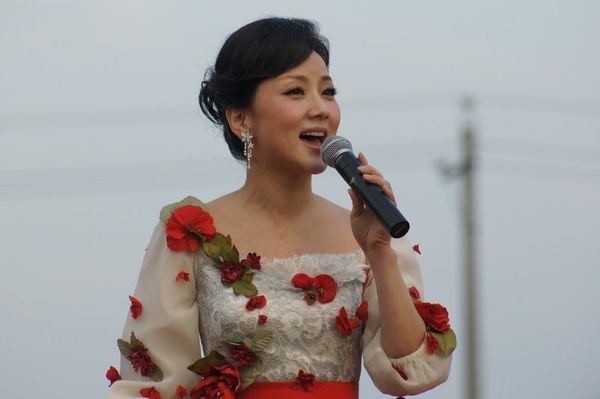 歌词中有雪莲花的歌曲