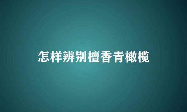 怎样辨别檀香青橄榄