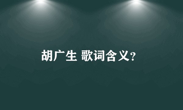 胡广生 歌词含义？