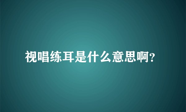 视唱练耳是什么意思啊？