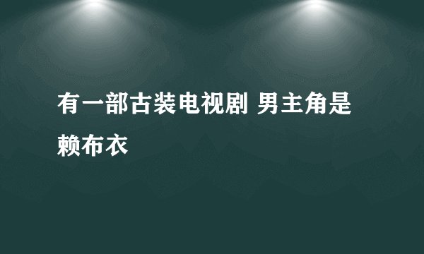 有一部古装电视剧 男主角是赖布衣