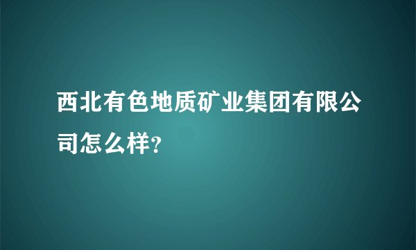 西北有色地质矿业集团有限公司怎么样？
