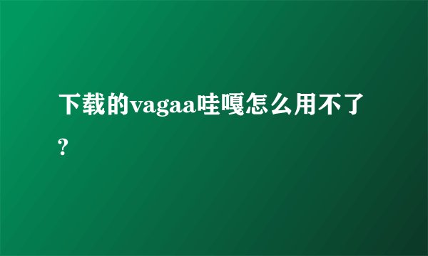下载的vagaa哇嘎怎么用不了?