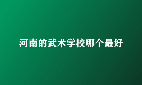 河南的武术学校哪个最好