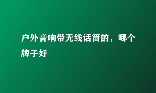 户外音响带无线话筒的，哪个牌子好