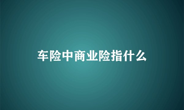 车险中商业险指什么