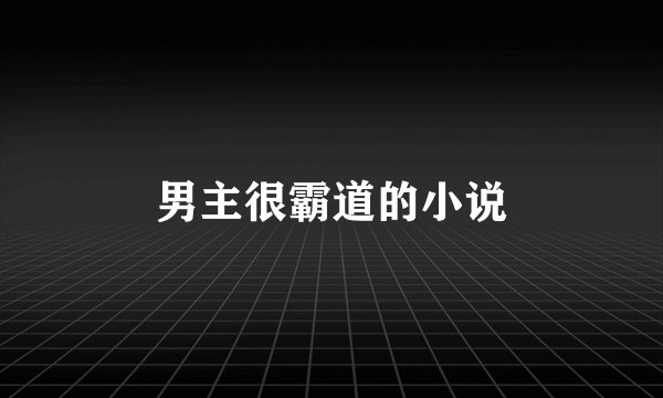 男主很霸道的小说