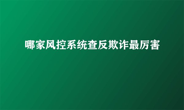 哪家风控系统查反欺诈最厉害