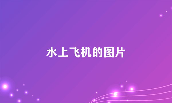 水上飞机的图片