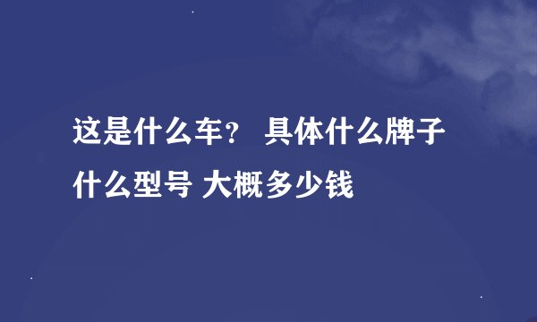 这是什么车？ 具体什么牌子 什么型号 大概多少钱
