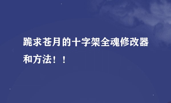 跪求苍月的十字架全魂修改器和方法！！