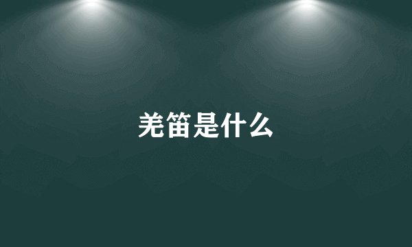 羌笛是什么