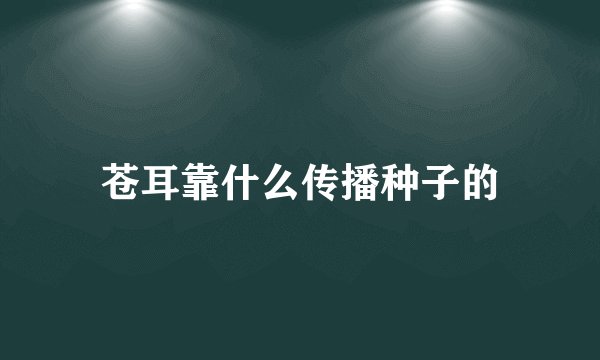 苍耳靠什么传播种子的