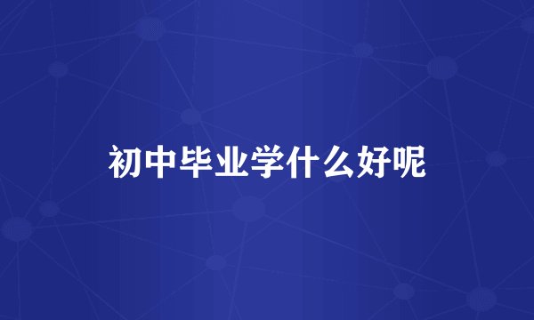 初中毕业学什么好呢