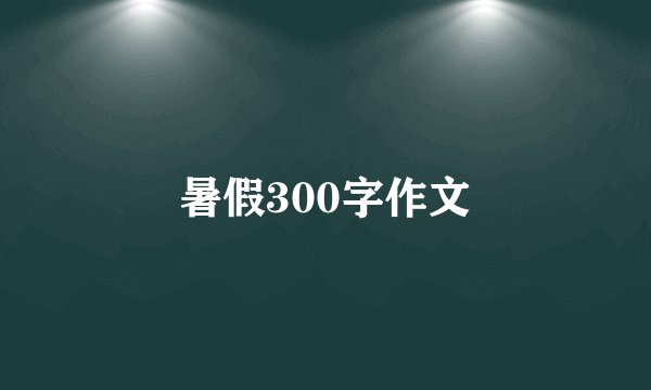 暑假300字作文