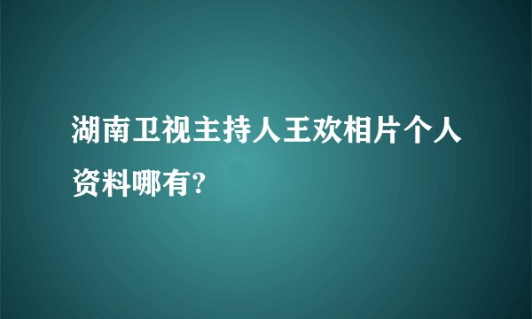 湖南卫视主持人王欢相片个人资料哪有?