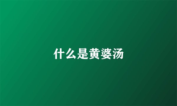 什么是黄婆汤
