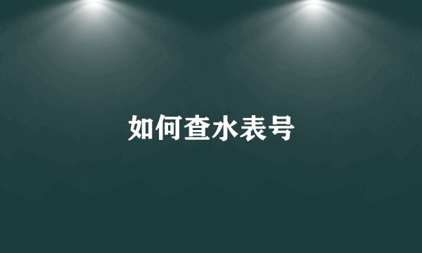如何查水表号