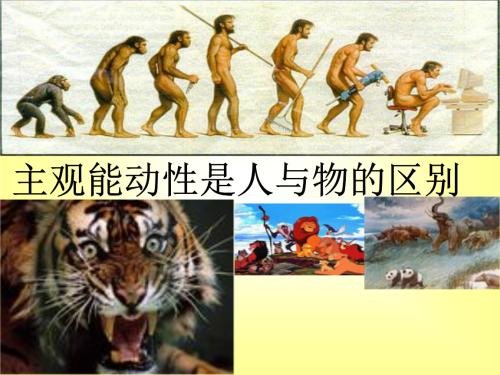 个体主观能动性在人的身心发展中的作用表现在哪几个方面