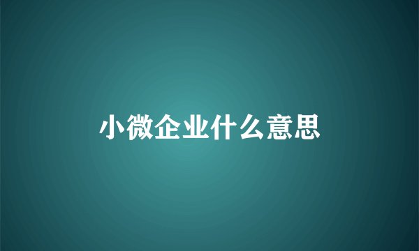 小微企业什么意思