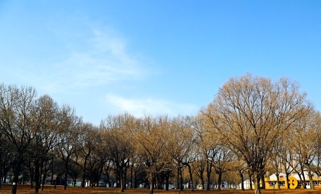 包头市内有什么好玩的地方？