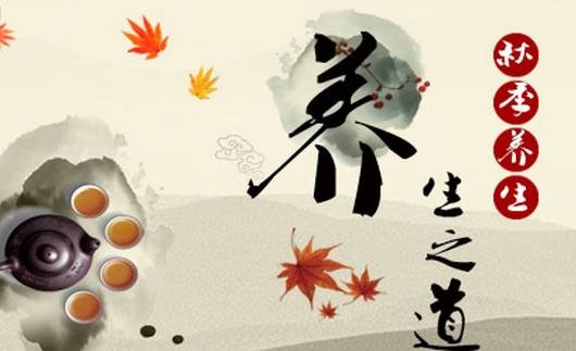 养生是什么意思