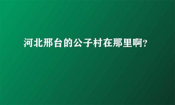河北邢台的公子村在那里啊？