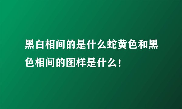 黑白相间的是什么蛇黄色和黑色相间的图样是什么！