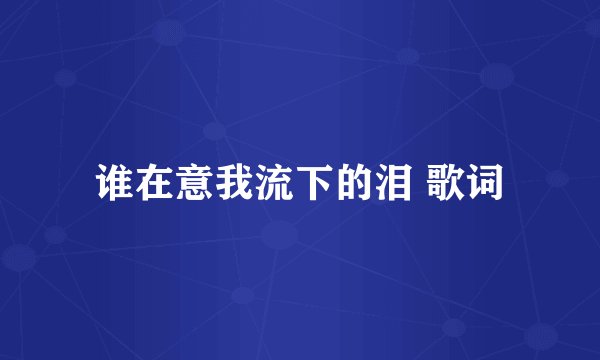 谁在意我流下的泪 歌词