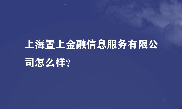 上海置上金融信息服务有限公司怎么样?