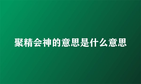 聚精会神的意思是什么意思