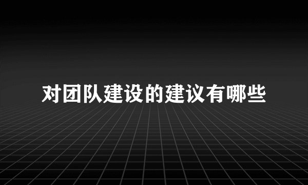 对团队建设的建议有哪些