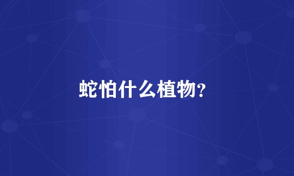 蛇怕什么植物？