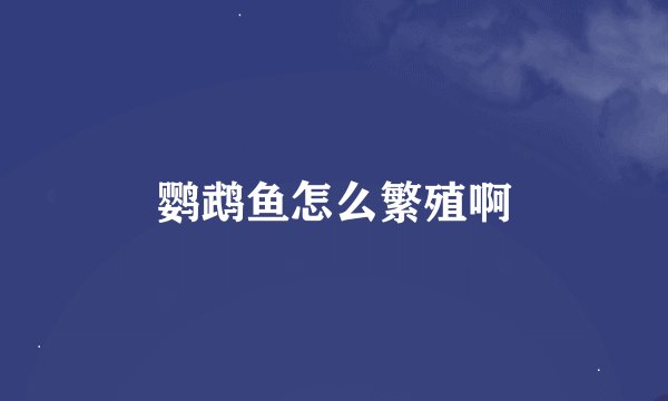 鹦鹉鱼怎么繁殖啊