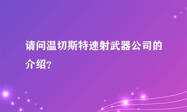 请问温切斯特速射武器公司的介绍？