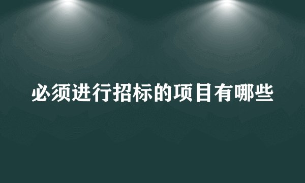 必须进行招标的项目有哪些