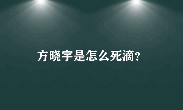 方晓宇是怎么死滴？