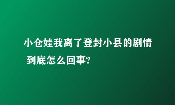小仓娃我离了登封小县的剧情 到底怎么回事?