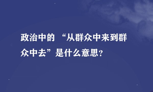 政治中的 “从群众中来到群众中去”是什么意思？
