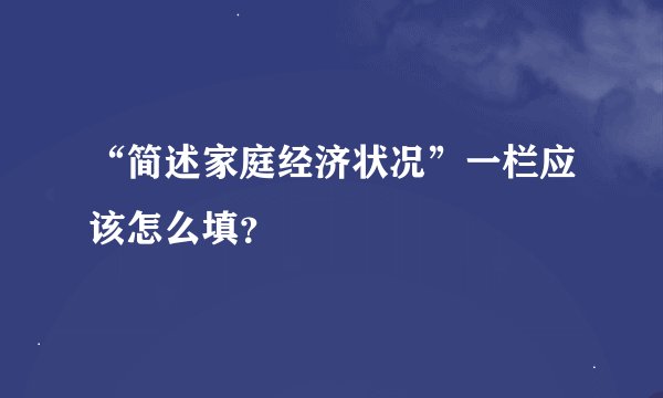 “简述家庭经济状况”一栏应该怎么填？