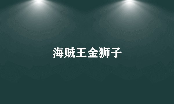 海贼王金狮子