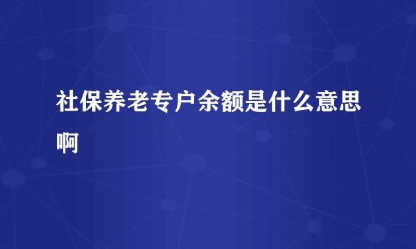 社保养老专户余额是什么意思啊
