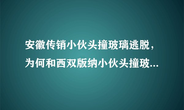 安徽传销小伙头撞玻璃逃脱，为何和西双版纳小伙头撞玻璃图片一样