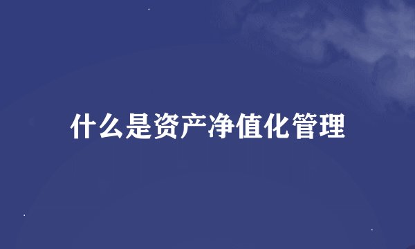 什么是资产净值化管理
